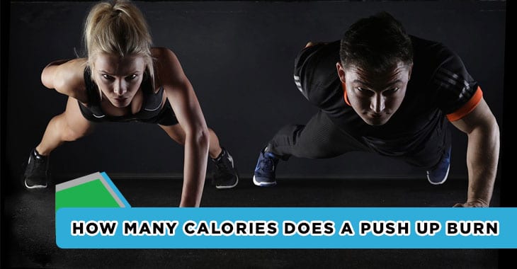 How many calories does a push up burn