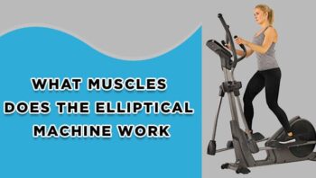 What Muscles Does Elliptical Machine Work