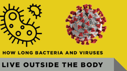 How Long do Bacteria and Viruses Live Outside the Body