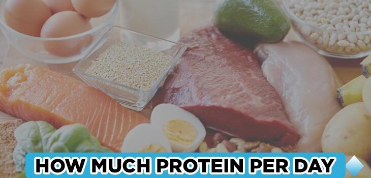 How Much Protein Should You Eat Per Day