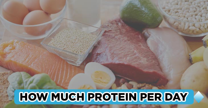 How Much Protein Should You Eat Per Day
