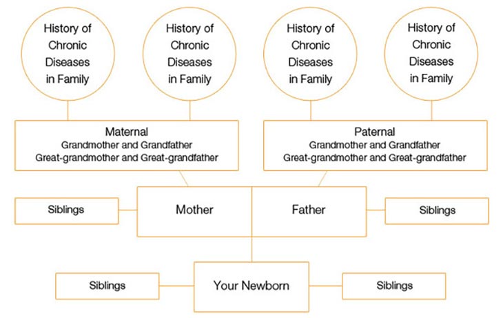 Share the purpose of family health tree