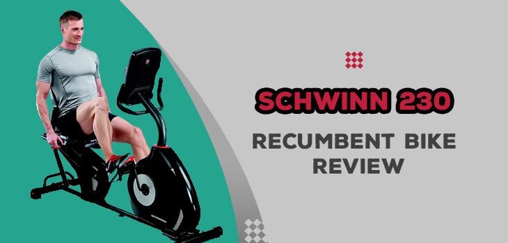 schwinn 230 recumbent bike reviews